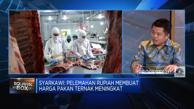 Persentase Daging Impor Masih Tinggi, Indonesia Belum Mencapai Swasembada Sapi