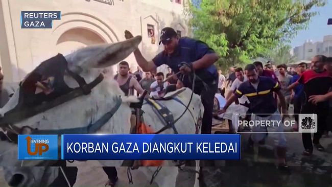 Korban Gaza Dibawa dengan Menggunakan Keledai