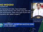 Ada Apa dengan Tiba-Tiba Jokowi Menghentikan Investasi Asing di IKN?