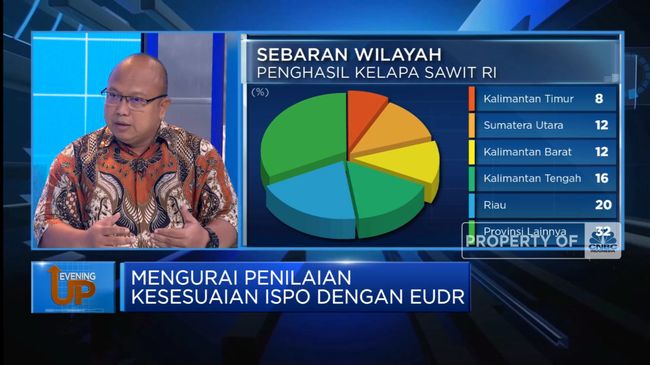 Dampak Larangan Sawit RI di Eropa terhadap Petani Sawit