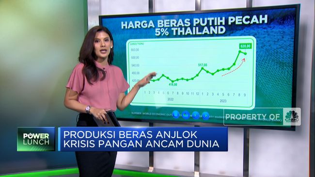 Anjloknya Produksi Beras Membawa Ancaman Krisis Pangan Global