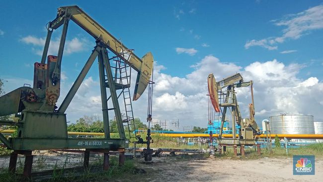 Luar Biasa! Kinerja Bisnis Pertamina Mencapai Laba Bersih Rp 10,8 Triliun pada Tahun 2024