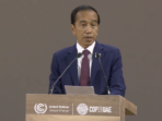 Jokowi Menyebut Lumbung Pangan dalam Konferensi COP28 di Dubai, Ini Alasannya