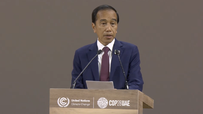 Jokowi Menyebut Lumbung Pangan dalam Konferensi COP28 di Dubai, Ini Alasannya