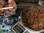 Migrasi Massal Warga Indonesia ke Rokok Murah: Apa Alasannya?