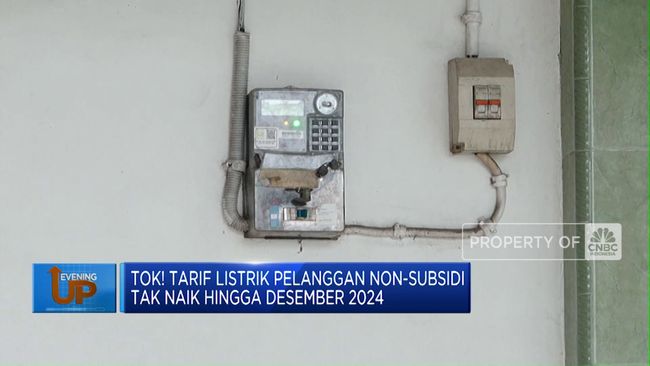 Tarif Listrik Non-Subsidi Tetap Stabil Sampai Akhir Tahun 2024