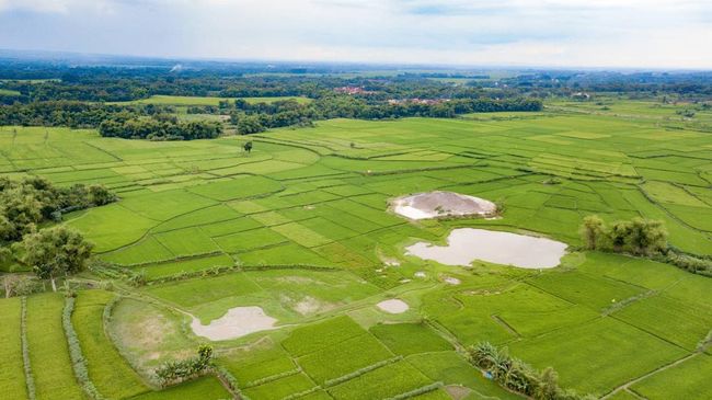 Indonesia Mencoba Memikat Prancis untuk Menemukan ‘Harta Karun Langka’ di Grobogan Jawa Tengah